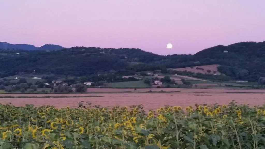 Agriturismo Torrenieri Da Alessandro Pienza 0*,